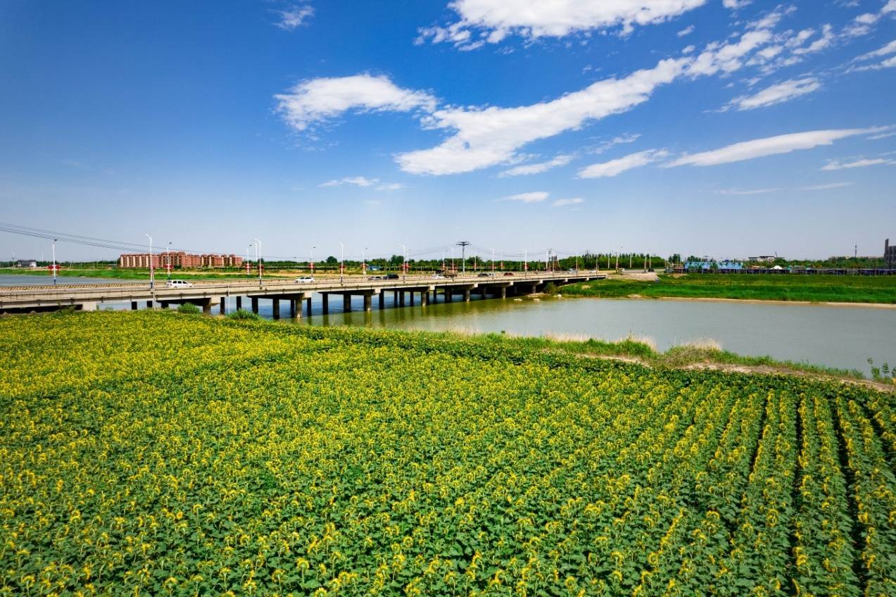 德州市庆云县机制创新显成效河湖颜值大提升