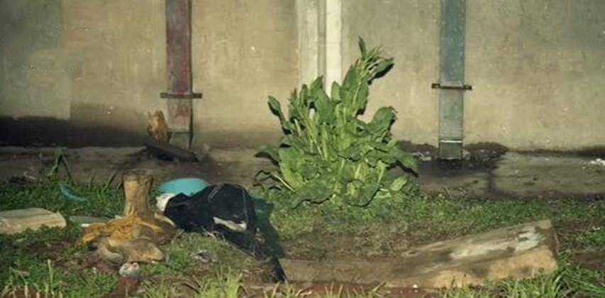 1992年,一名南京女学生在教学楼被奸杀,4天后在下水道发现尸体_林伶_