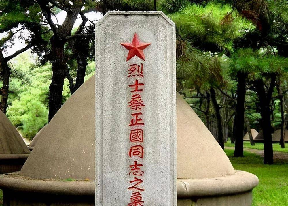 原创董凤奎迎娶烈士的遗孀终身不要孩子生前让养子改回其本姓