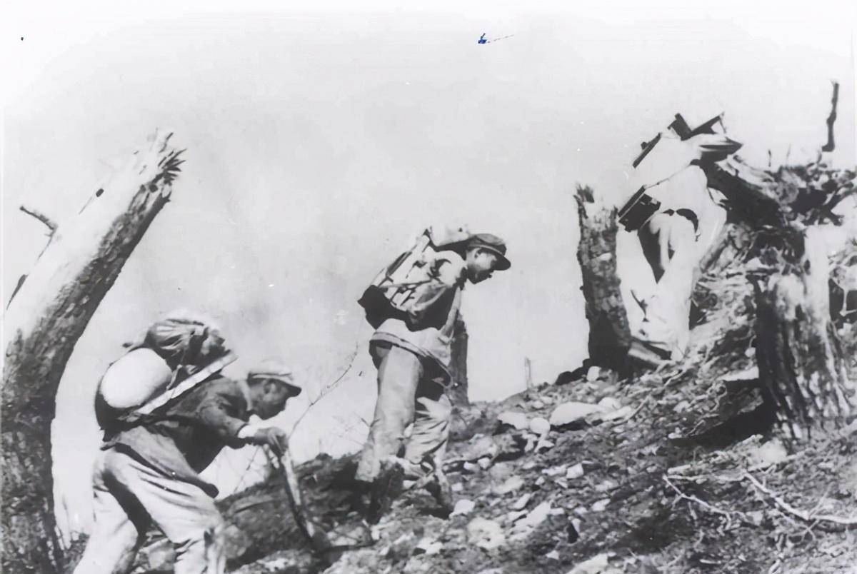 上甘岭战役打的有多惨烈采购数万斤苹果最后只剩1个