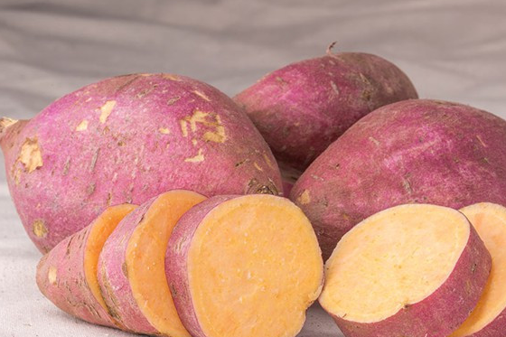 糖尿病人真的可以吃红薯吗专家给出了这样的真实答案