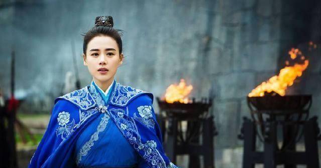 这部剧主要讲的是马思纯饰演的将军叶昭从小女扮男装,征战沙场,皇上下