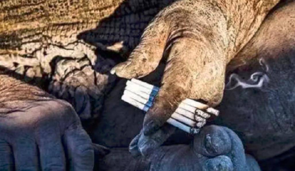 吉尼斯纪录保持者哈吉60年没有洗过澡身体像是穿了铠甲一样