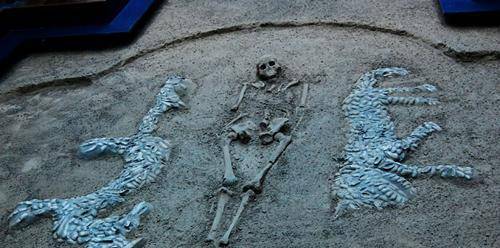 原创河南出土6000年前古墓墓内藏中华第一龙专家古代真有龙