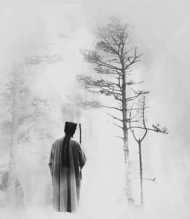 浮云游子意,落日故人情.32句五言情感诗词,友情长存,不负此生