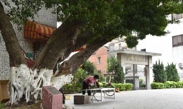 原创东莞道滘镇大坟藏在居民区内记载着一曲反清复明的悲歌