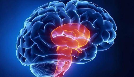 56岁男子深夜脑梗瘫痪,再次忠告:中老年人晚饭后,要少做4件事