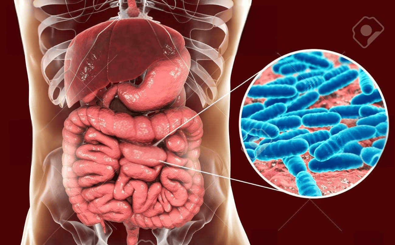 肠道息肉会不会癌变?这些排便异常信号 是肠癌早期预警