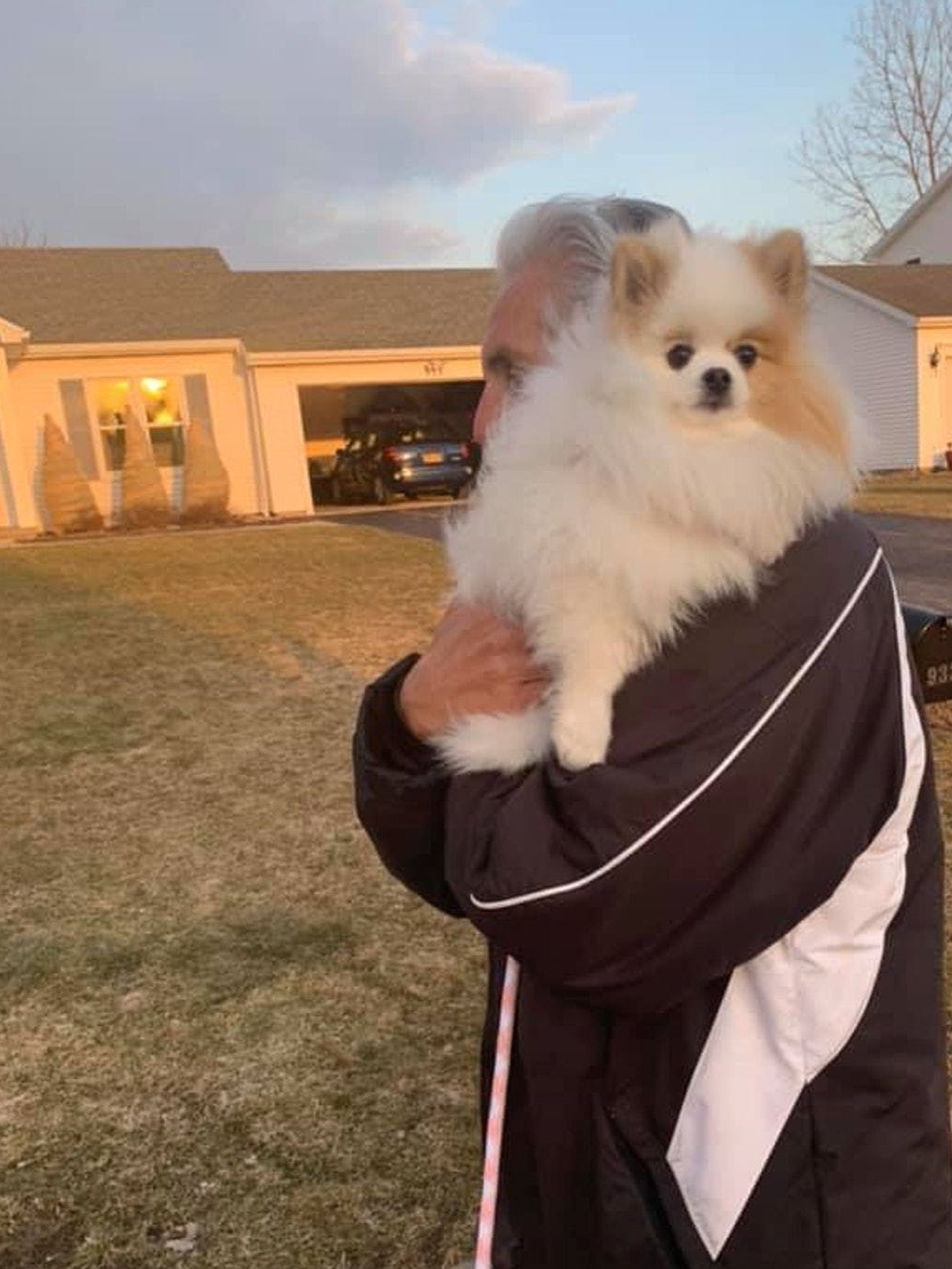 养狗,父亲:你敢,我就杀了你,两年后,父亲:它腿太小了_爸爸_吉娜_belle