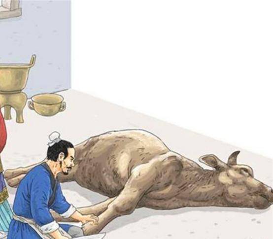 原创老农的牛半夜被人割掉了舌头包拯把牛杀掉坐等小偷自首