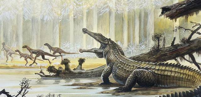 原创地球历史上有一荒芜时代十分神奇无数远古生物超乎想象