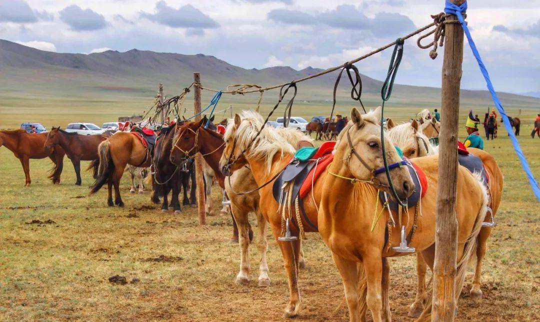 女多男少的蒙古国现状什么样?带你了解真实的蒙古_国家_因为_俄罗斯