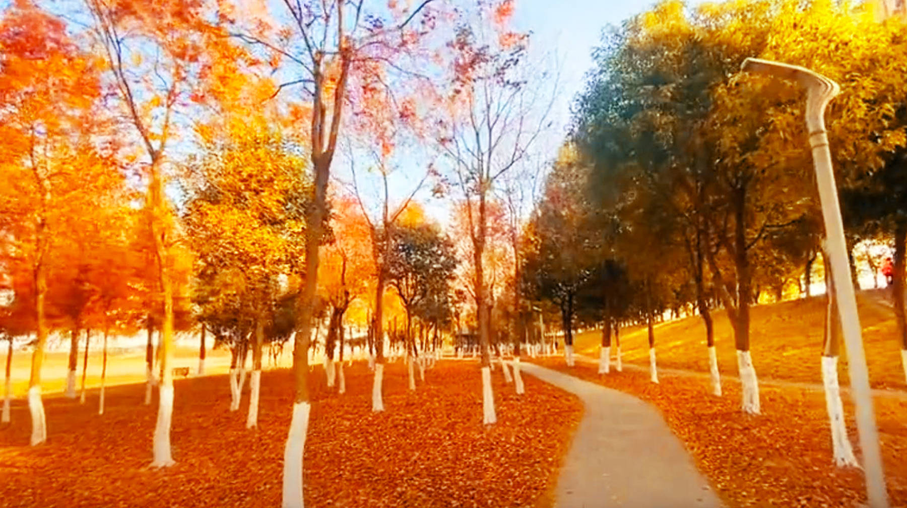 原创武汉郊区有座河滩公园闹市边的休闲地四季都能观赏风景