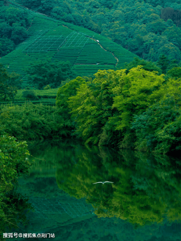中海月陇云岚杭州中海月陇云岚首页网站丨中海月陇云岚楼盘地址价格