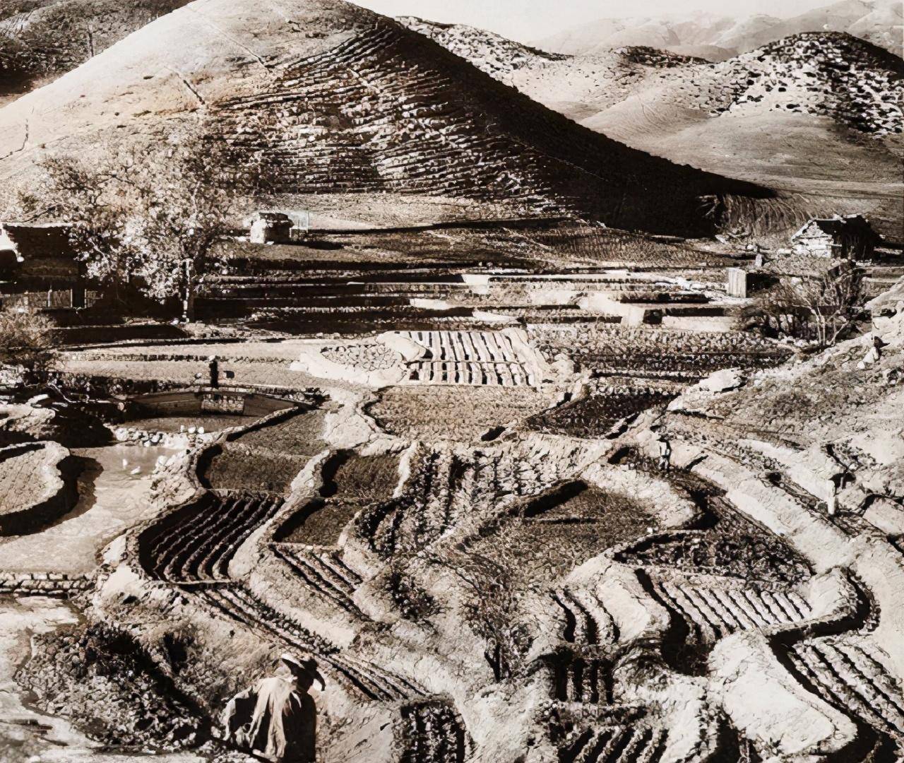 原创大地赛珍珠的中国情结道尽中国农民对土地的依恋