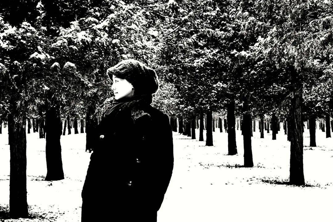 黑豹乐队_栾树_摇滚乐队