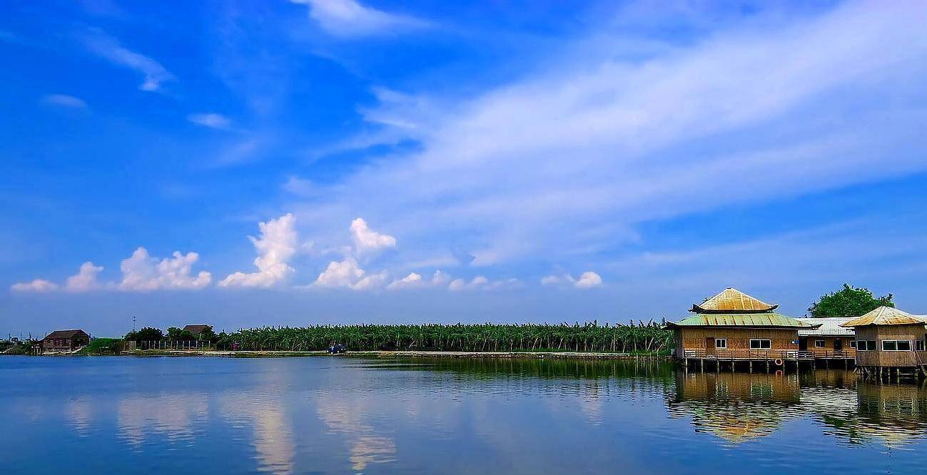 广州有个"良心"小岛,是3a景区却免费开放,很多游客不知道_海鸥_旅游