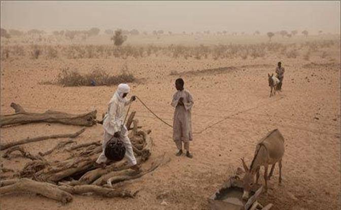 原创非洲作为世界第二大陆并不缺少用于耕种的土地为何还闹饥荒