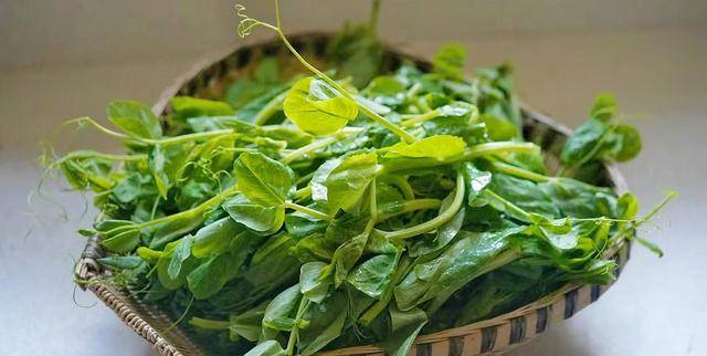 "宁吃豌豆尖一口,不吃大白菜一筐".