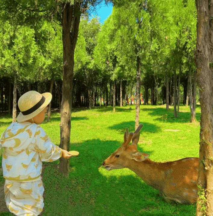 适合儿童玩的景点图片