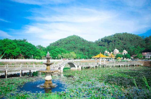 春风拂面,花都区遛娃踏青指南:14个热门亲子景点等你来探索!