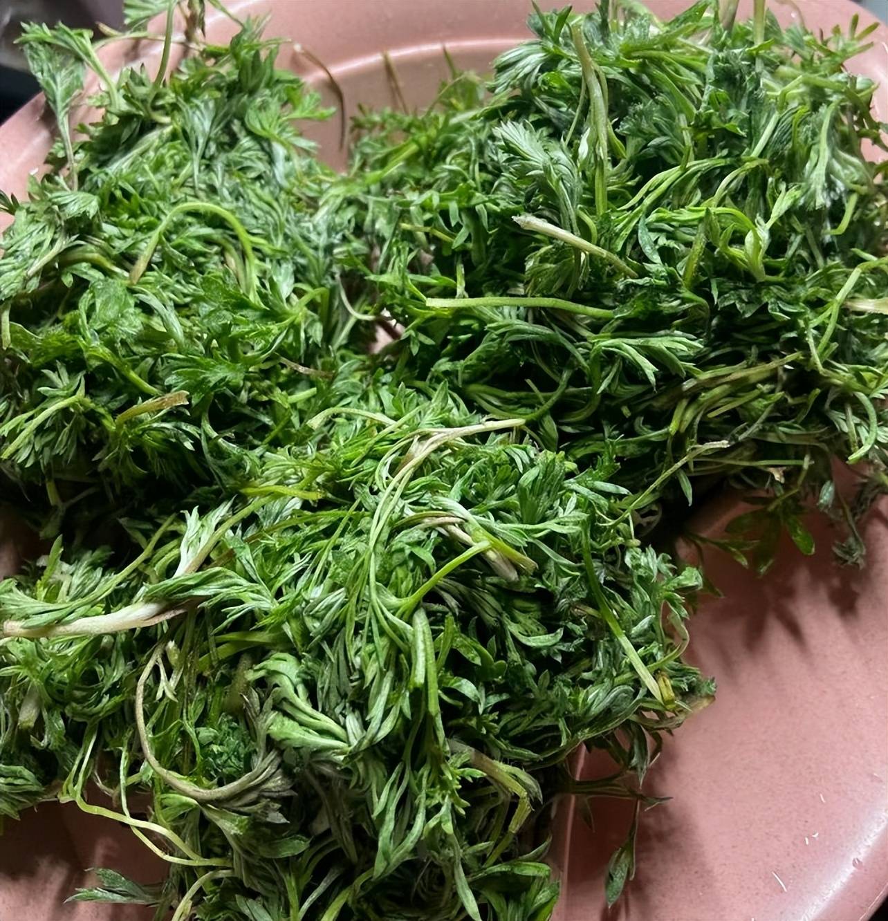 野菜山玉米图片大全