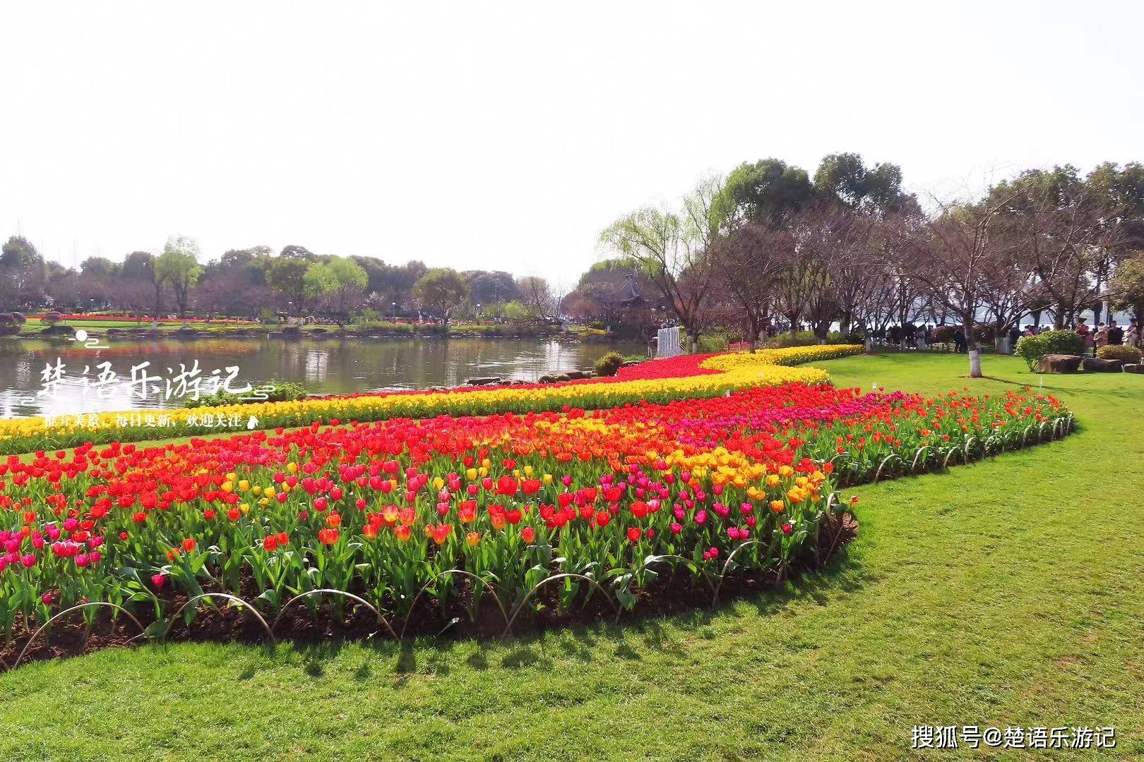 杭州湾花海景区图片