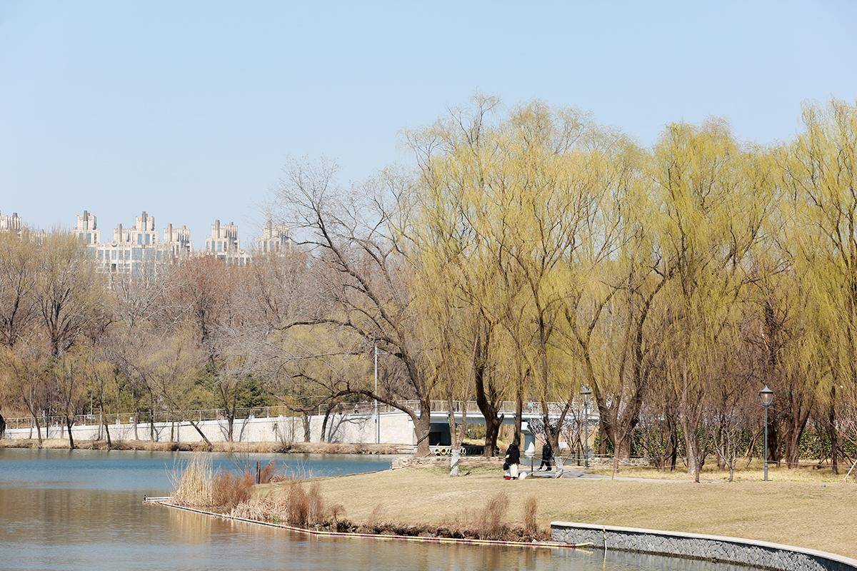 一镜走天下春天休闲漫步北京朝阳公园的惊喜