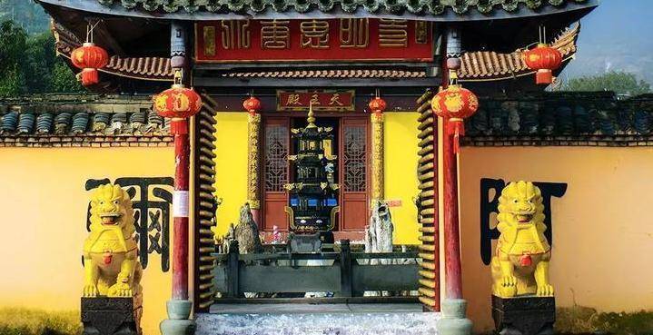 浙江这个古寺,里有一茶树,比武夷山大红袍还珍贵,每年只产2两