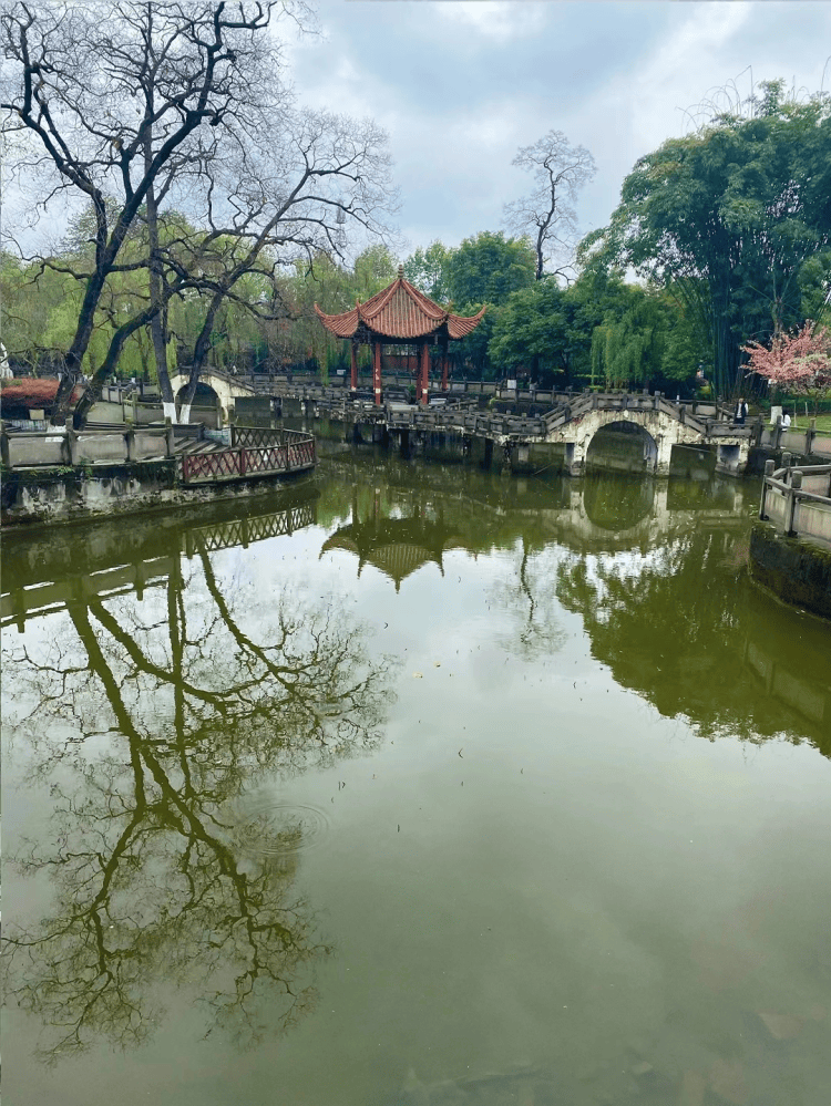 天府旅游名县绵竹人民公园赏花遛娃无限的快乐