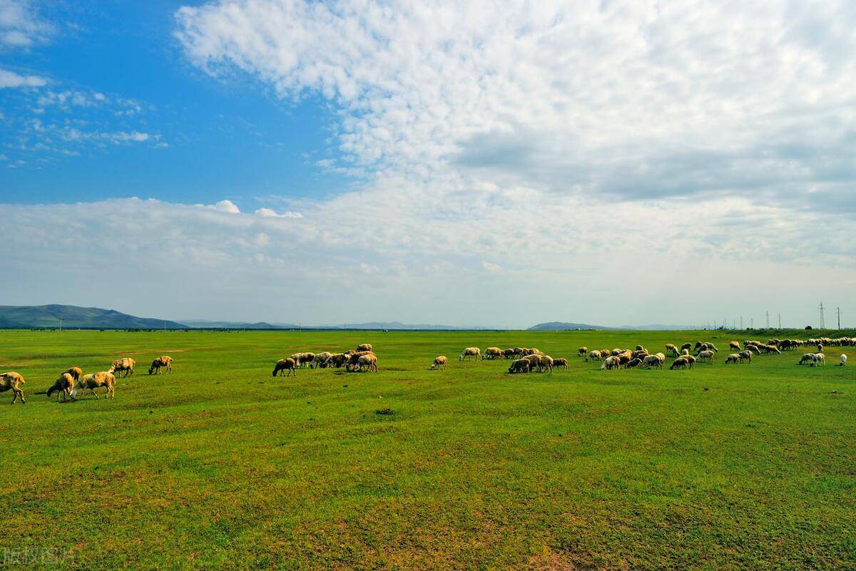 内蒙古5天4夜草原游内蒙免费定制行程需要多少钱