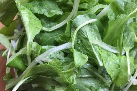 春季补肝,每周吃一次,养血,明目,做法简单,好吃的秘诀传给你_青菜_养