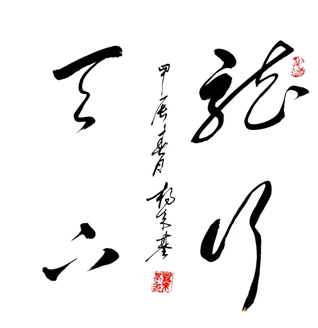 景瓷天下61传承国粹中国当代书法名家杨来基