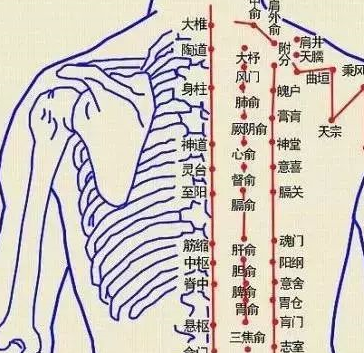 脾虚艾灸哪里效果最好图片