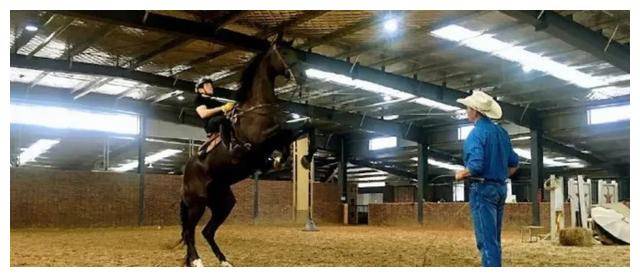 好久不见费翔再次惊艳登场又帅又有型粉丝们快来围观