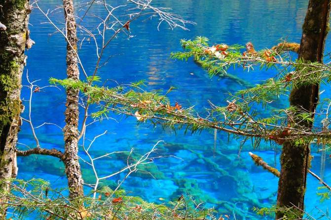 去九寨沟跟团大致推算,(看完避坑)_四川_成都_景点