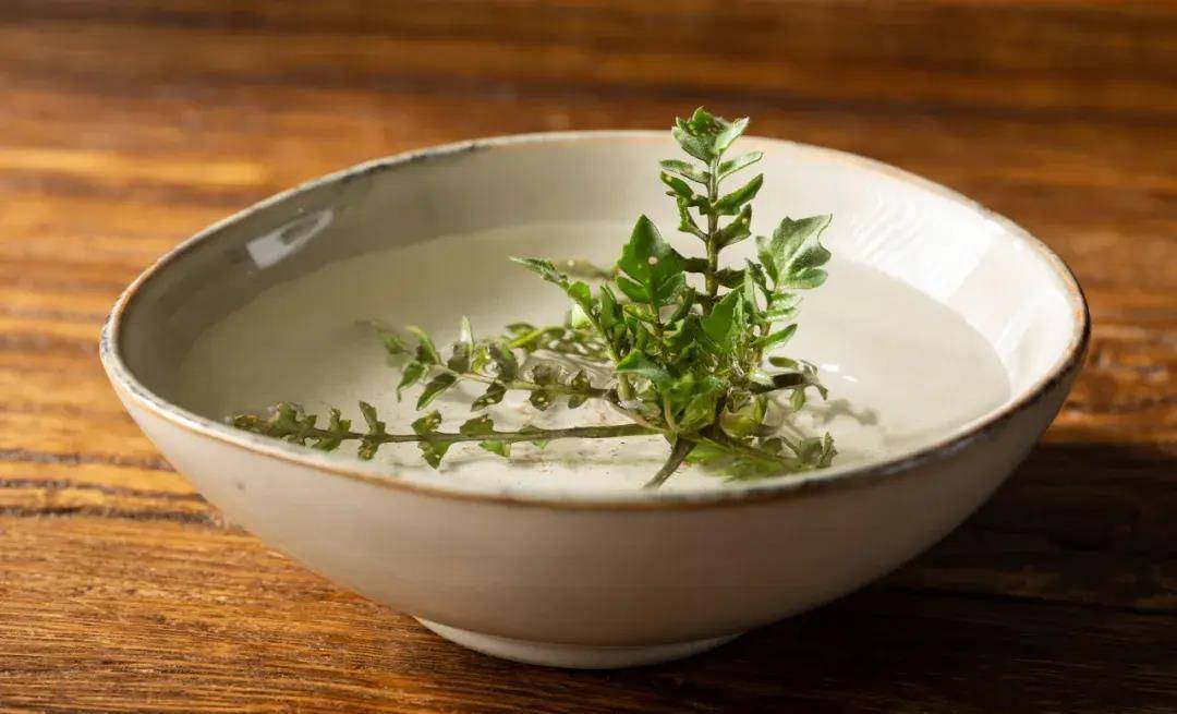 我寻思着没准可以试试水培,结果没养两天枯萎了,大概山野之物,不愿被