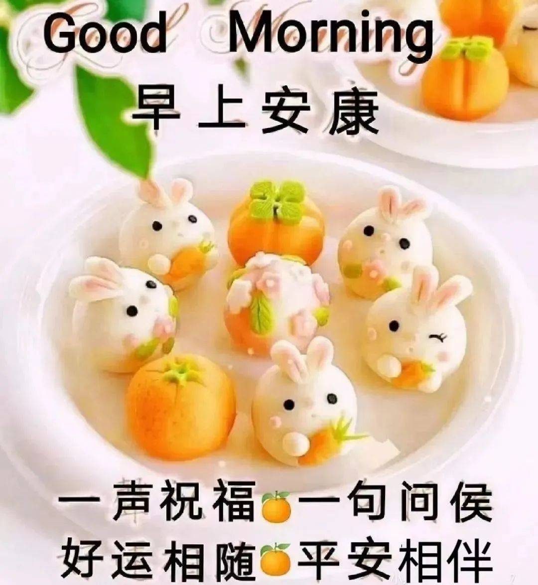 2024年3月26周二早上好,精选温馨的早安祝福图片带字问候语录_生活