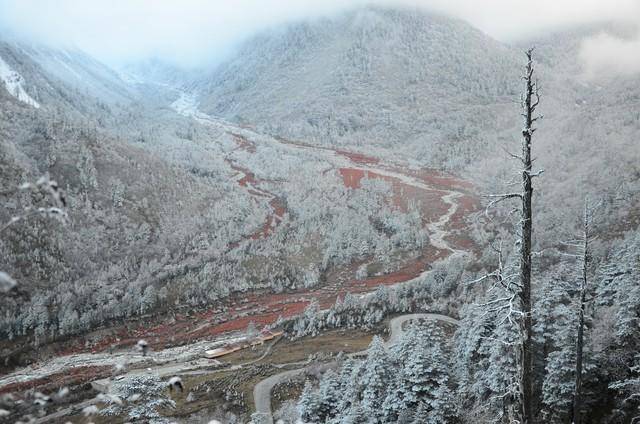 四川天气也疯狂盆地微风山区雨雪一日尽览四季变换