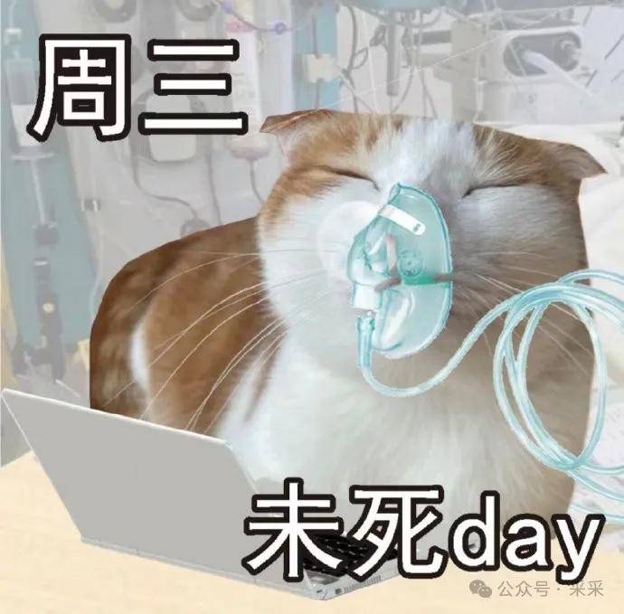 天水酒店门下小卡片真是别致啊谁先下地铁谁就输了搞笑囧图