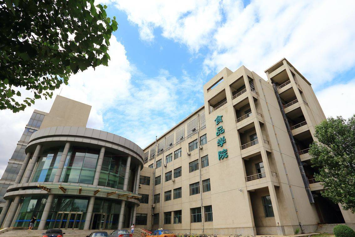 毕业生三年内哪些本科专业职位晋升比例较高