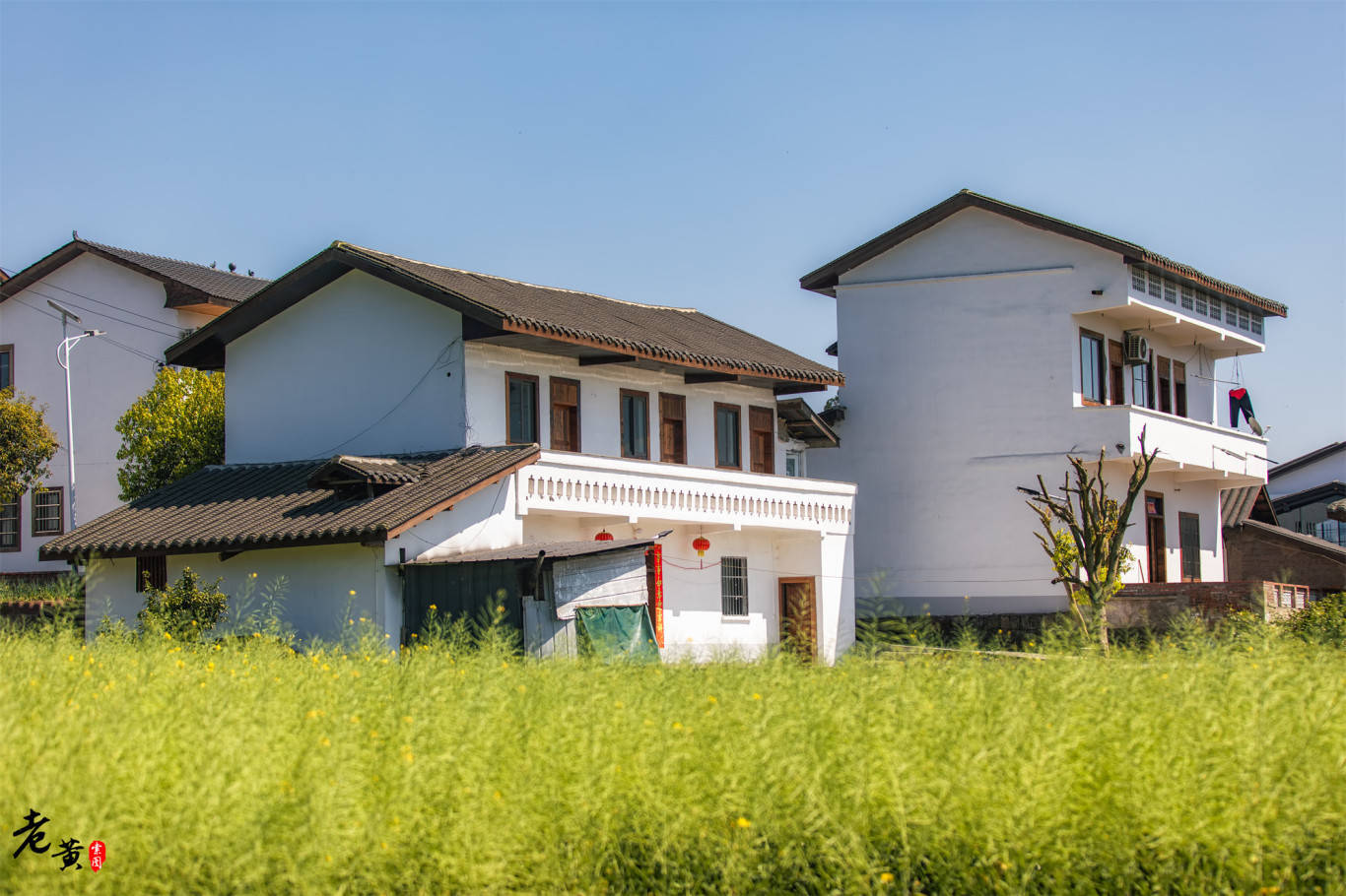 原创重庆周边哪儿玩距离主城区60公里的璧山七塘镇大片花海等你赏