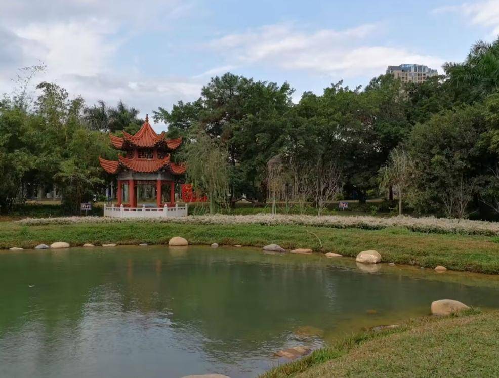 原创上海浦东长青公园自然风光无限好