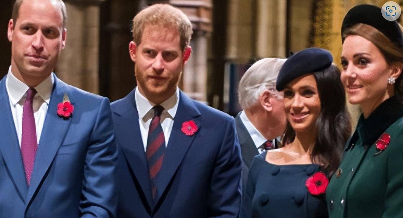 王室专家指责梅根就是个孤星煽动哈里与威廉凯特闹翻