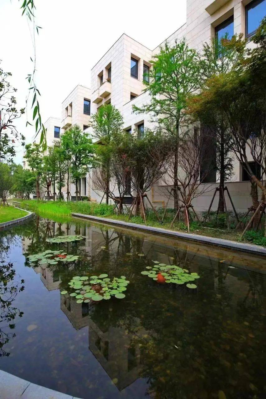 上海「大宁揽翠艺墅首页网站-静安别墅【大宁揽翠艺墅】售楼处详情