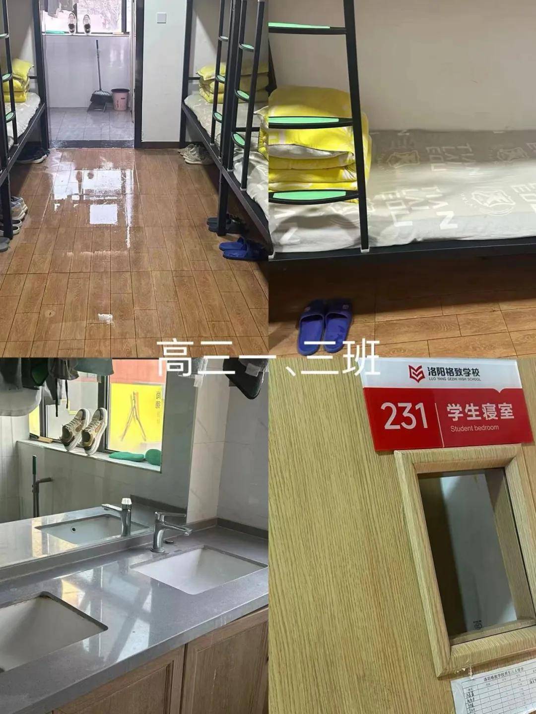 缤纷格致多彩校园洛阳格致学校一周掠影