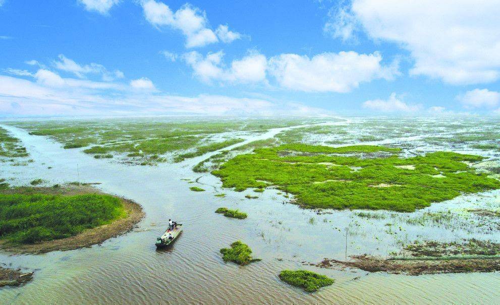 江苏的洪泽湖湿地公园主打原生态其实就是不管不问