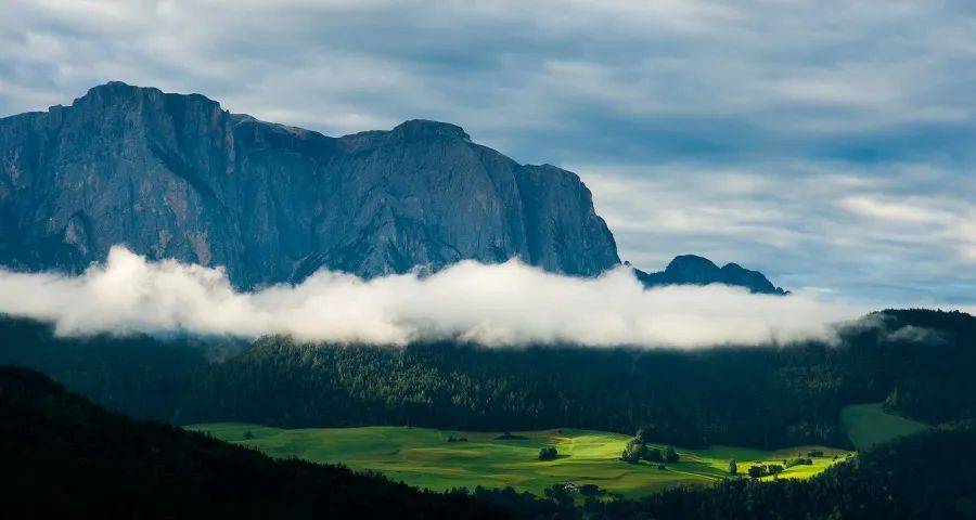 接下来家电厂商要联手拼零售了-家电圈官网