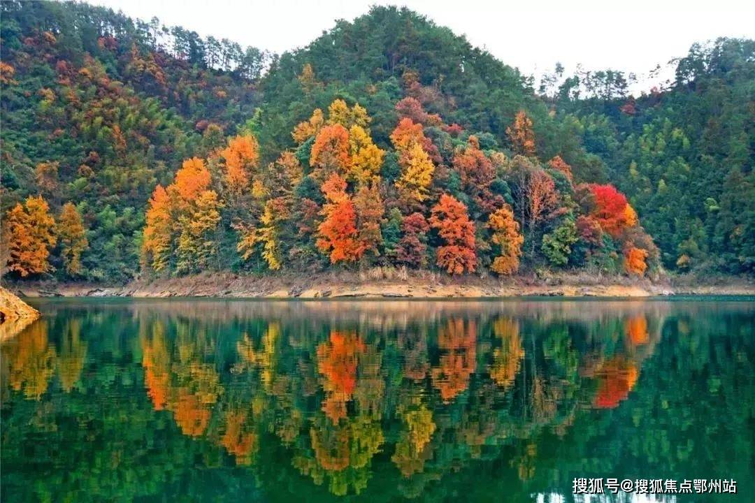 千岛湖桂语江南售楼处电话千岛湖桂语江南售楼中心楼盘最新详情24小时