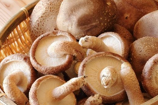 原创饭后腹胀可能是脾虚常吃补气食物